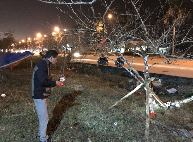 Trắng đêm ngồi co ro đốt củi sưởi ấm để canh đào, quất, hoa Tết